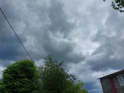 Дожди не закончатся никогда: прогноз погоды на третью неделю лета