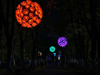 Светящиеся одуванчики радуют жителей Бологое