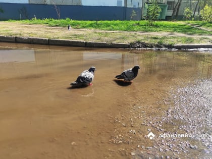 Погода в Твери: тепло вернется вместе с дождями