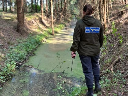 В Тверской области 69-летний мужчина ушел из дома престарелых и не вернулся