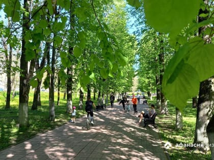 Погода в Твери: жарко и влажно