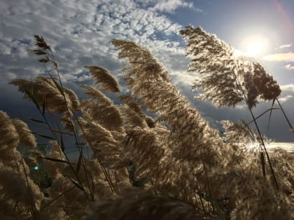 Погода 11 апреля в Твери. С ветерком