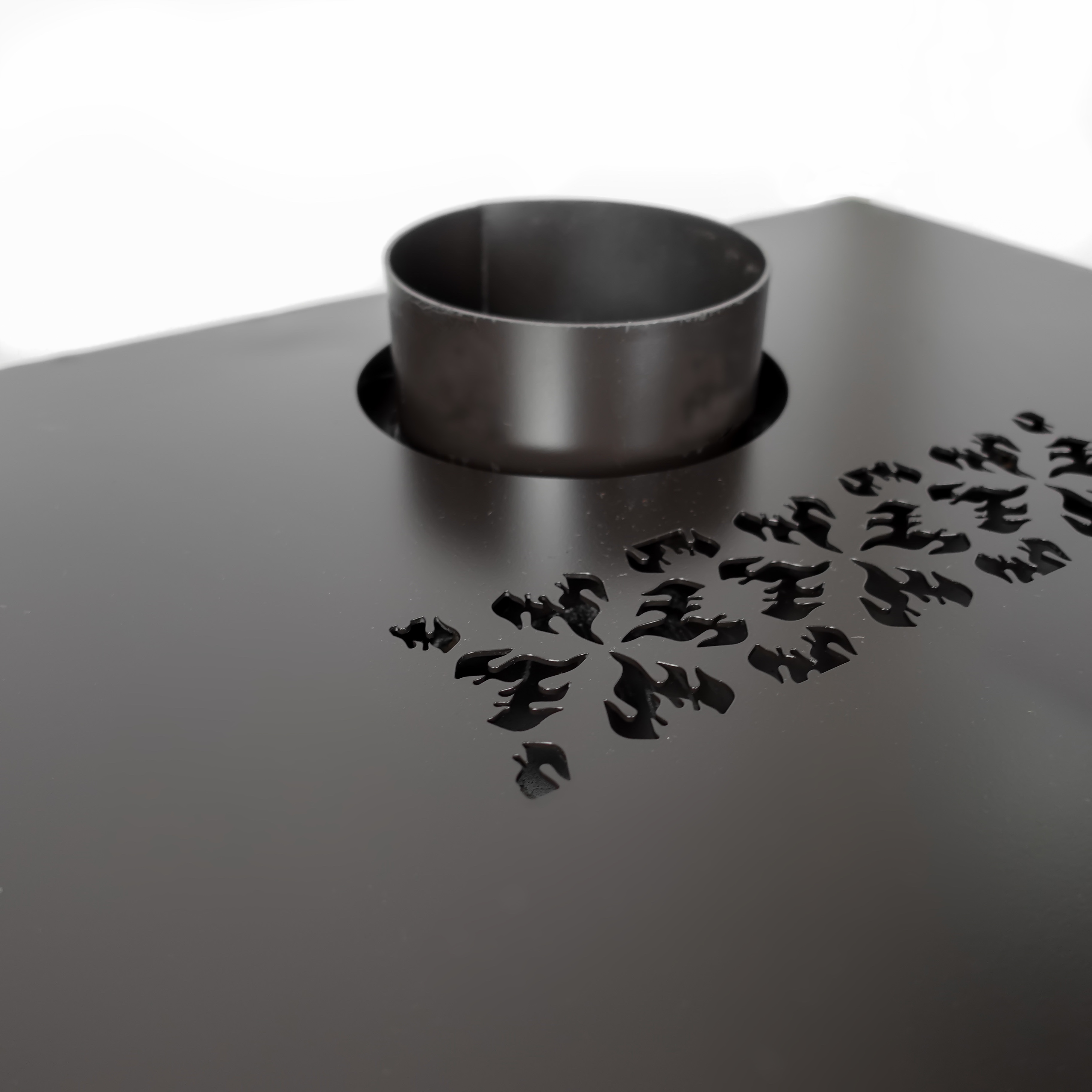 Salamanda Asaparri XX