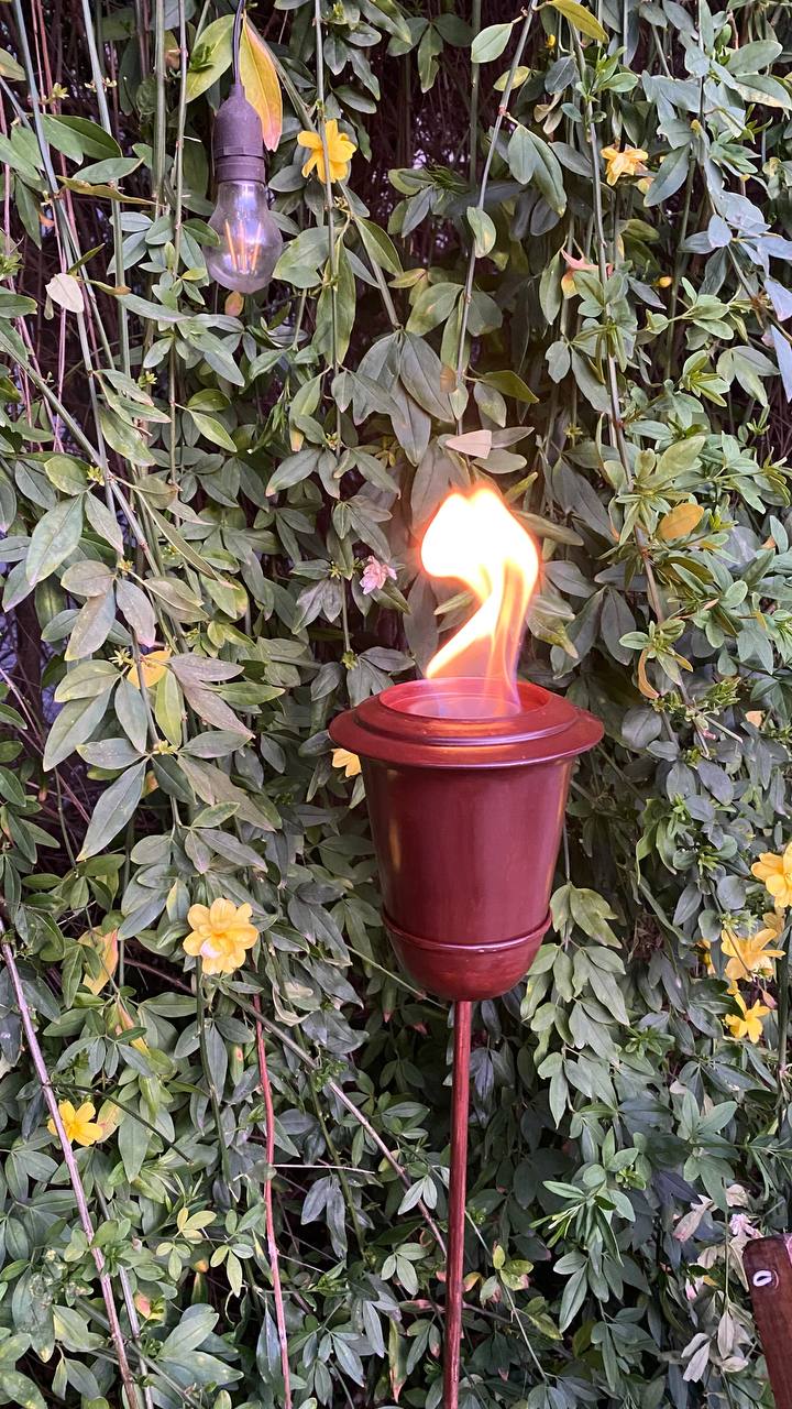 Bioetanol Antorcha