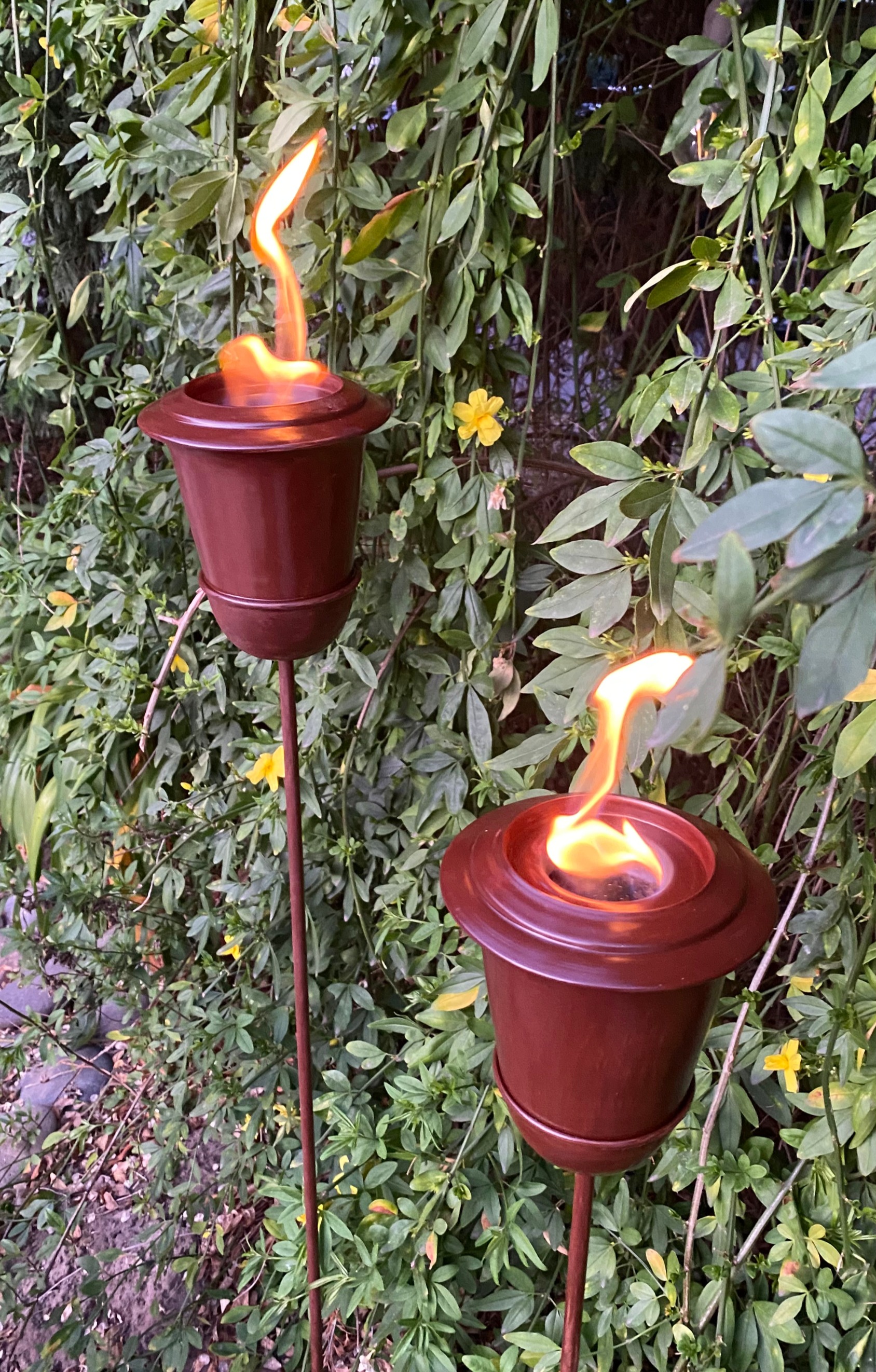Bioetanol Antorcha