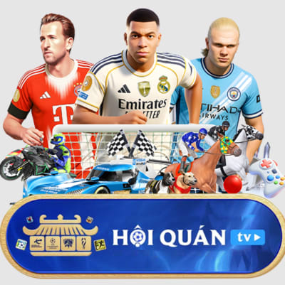 Hoiquantv 247com profile picture