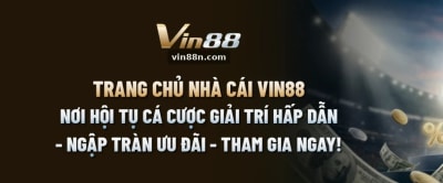VIN88 NCOM profile picture