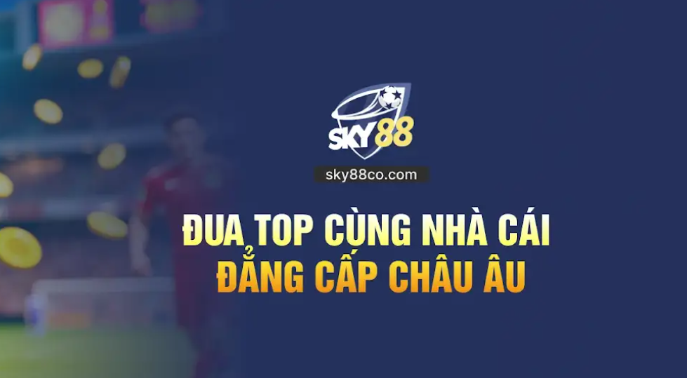 SKY88 COCOM profile picture