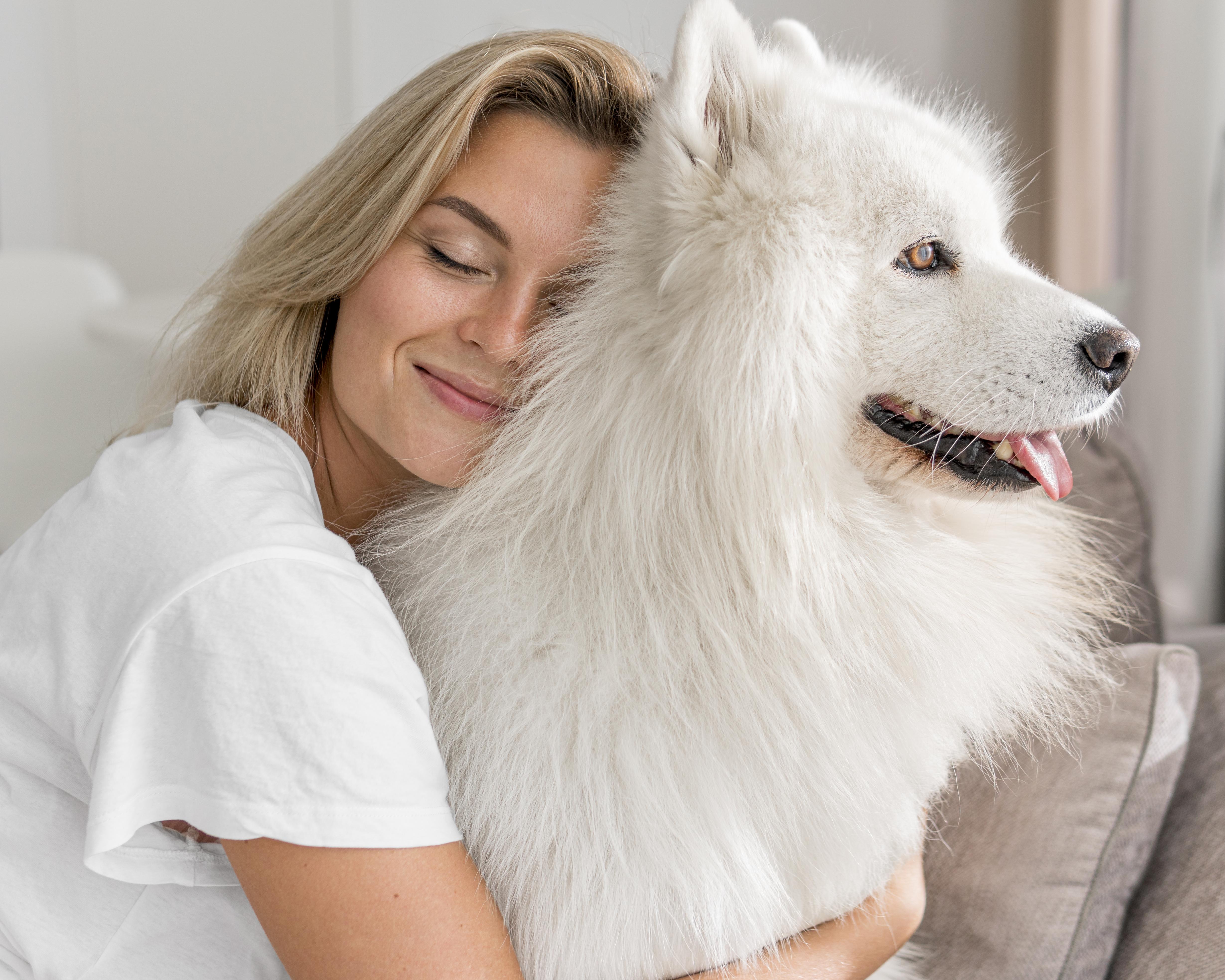 Pet Food, Products, Supplies at best price,Doha,Qatar