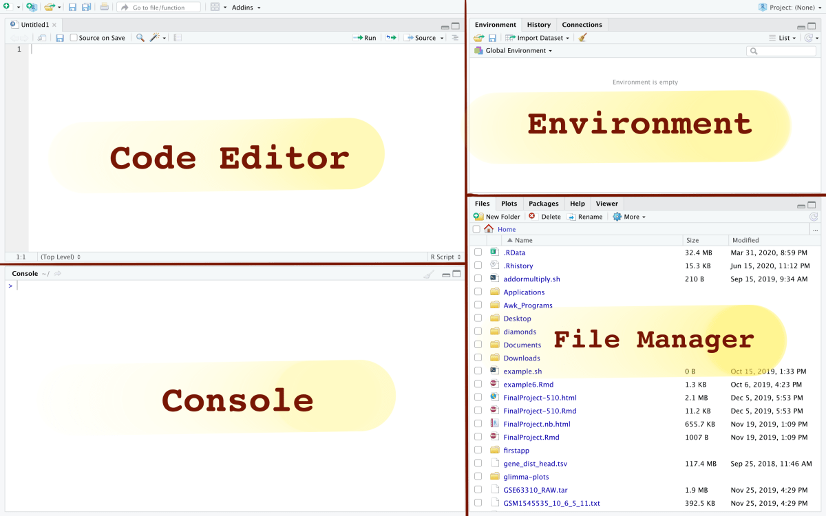 RStudio User Guide - Text Editor