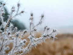 Неблагоприятные метеорологические условия ожидаются в Перми