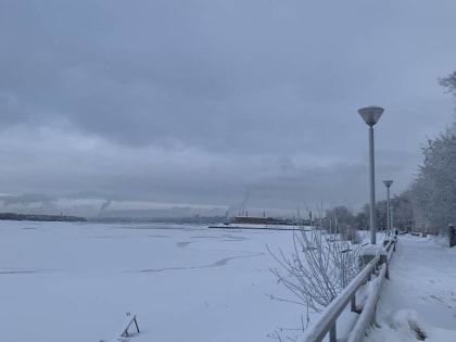 Экологи обеспокоились сносом деревьев на пермской набережной