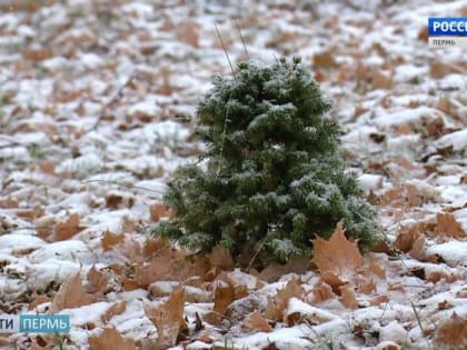Погода в Перми: прогноз до конца октября