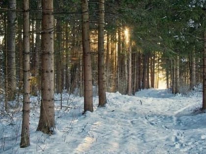 17 марта стало самым тёплым днем с начала года в Прикамье