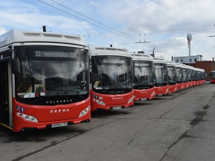 Поддержка водителей общественного транспорта в Перми