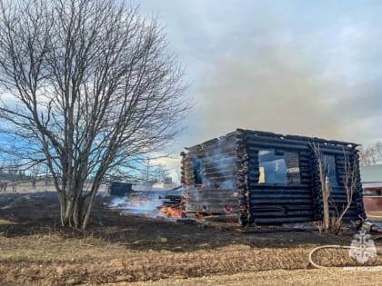 В Прикамье пожарные тушили ландшафтный пожар, площадью более 500 квадратных метров