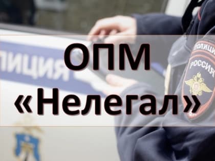 Операция «Нелегал-2024» в Чусовом: меры против незаконной миграции