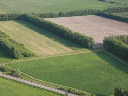 В Пермском крае спрос на покупку земельных участков сократился на 21%