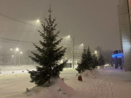 ​В Пермском крае за сутки выпадет четверть месячной нормы осадков