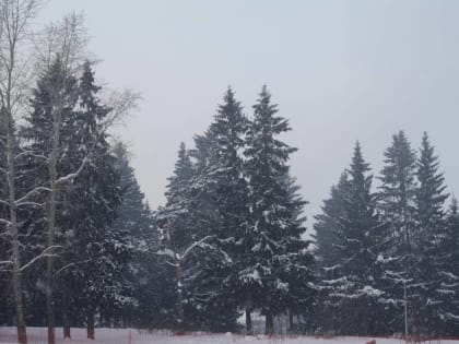 ​Метеорологи рассказали о погоде в Пермском крае на выходные