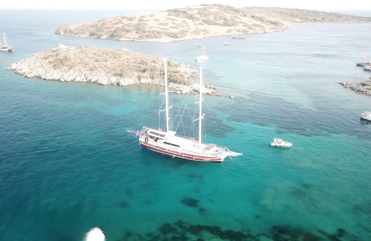 An image of Questa Vita