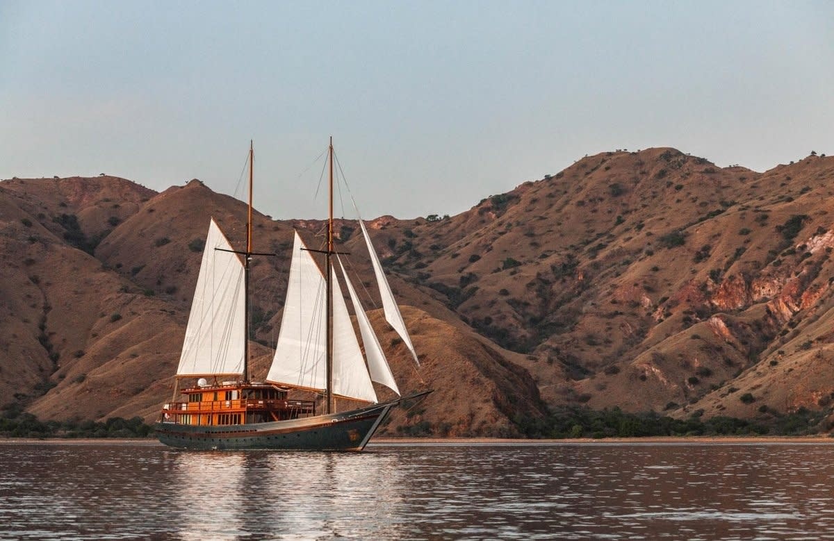 An image of Vela