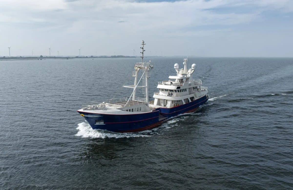 An image of Scintilla Maris