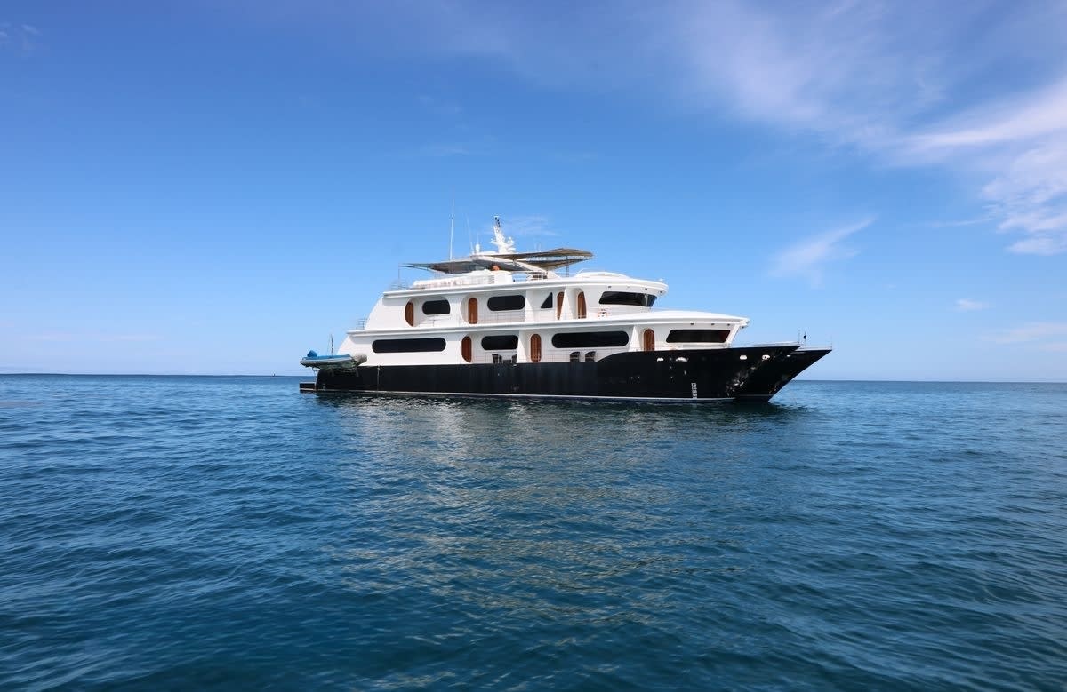An image of Petrel