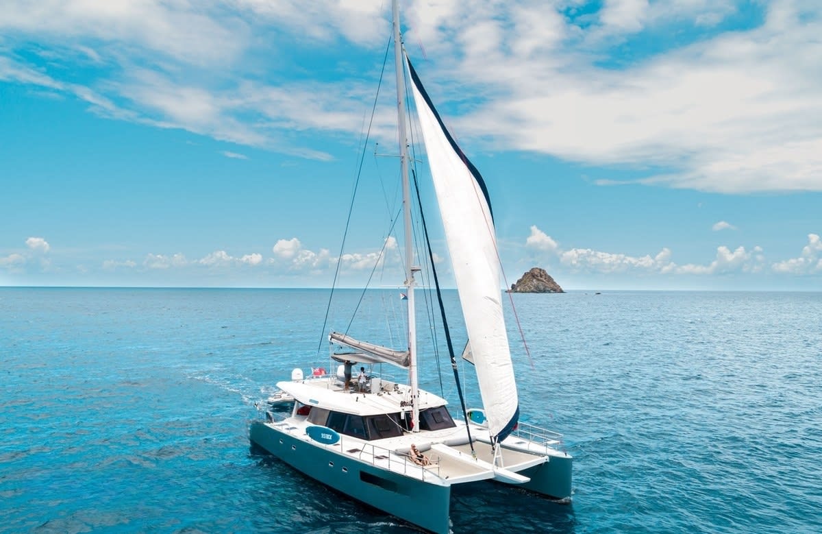 An image of Dolcevitacat