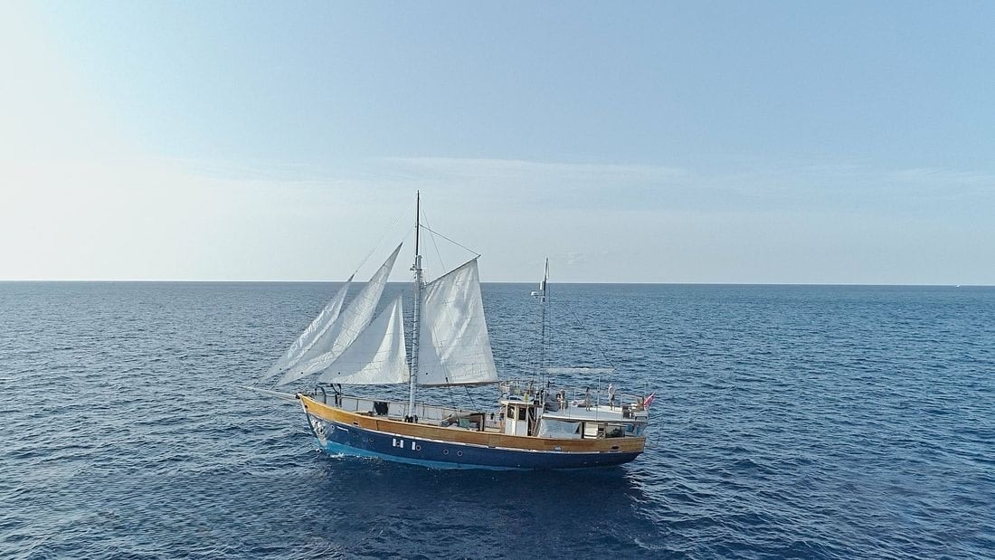 An image of Truelove