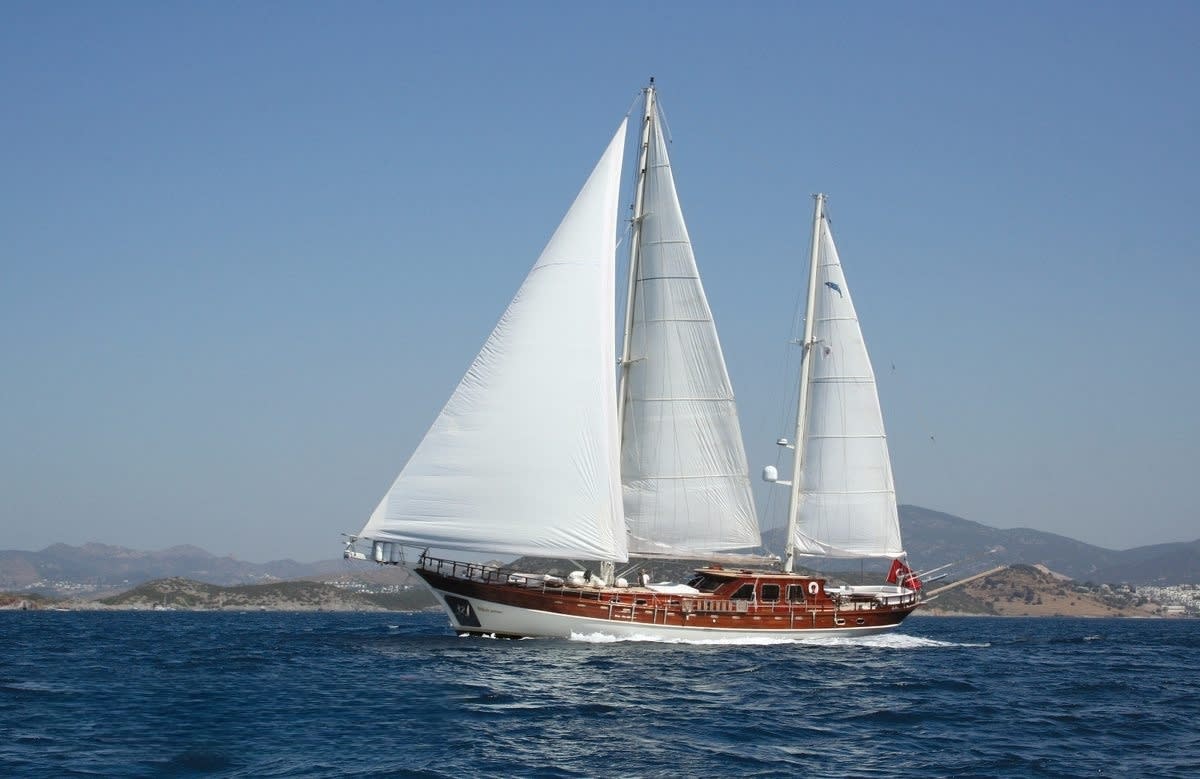 An image of White Goose