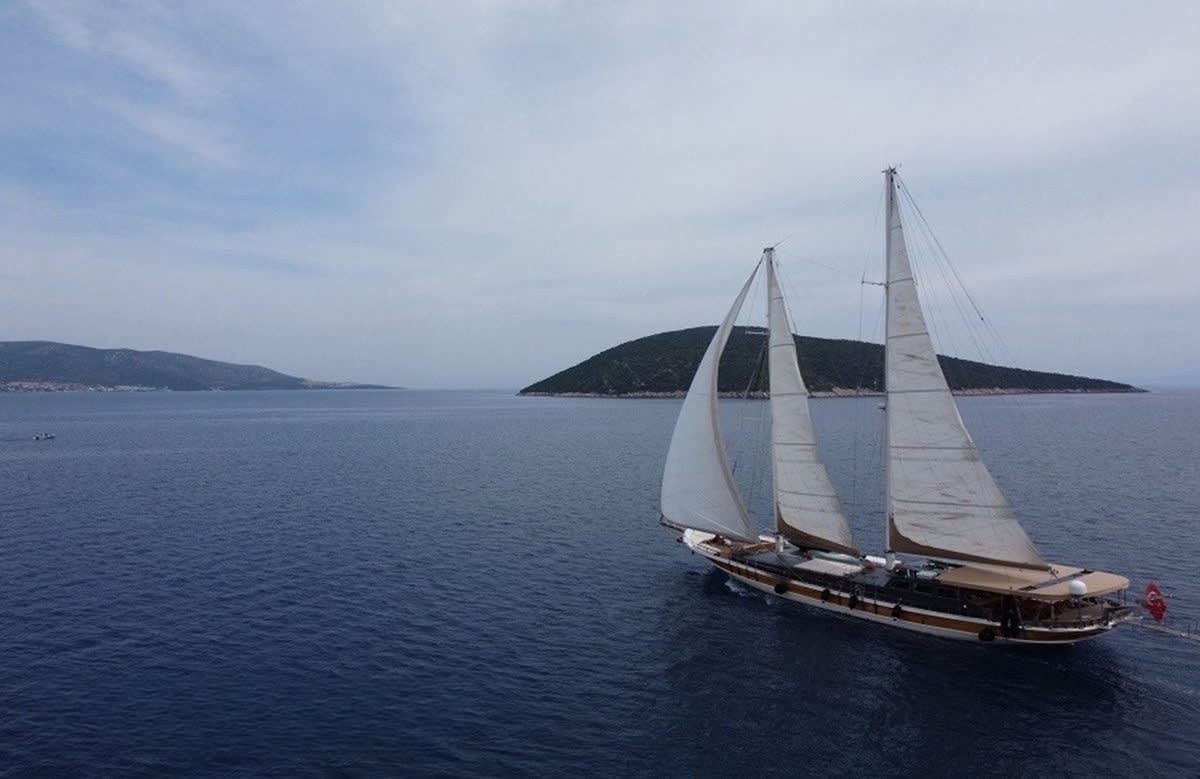 An image of Torini
