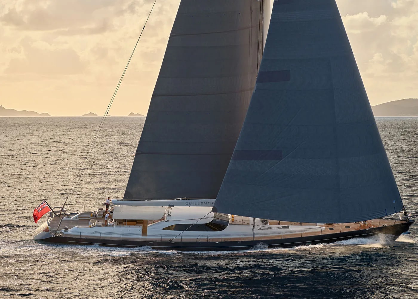 An image of Guillemot