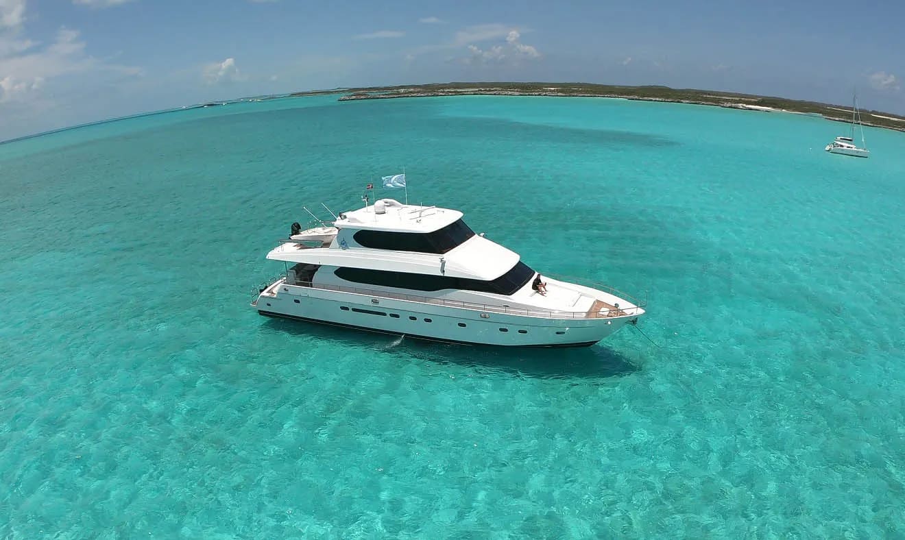 An image of Tortuga