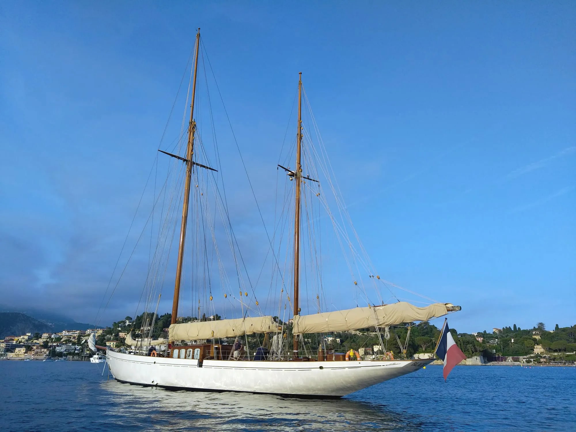 An image of Black Swan