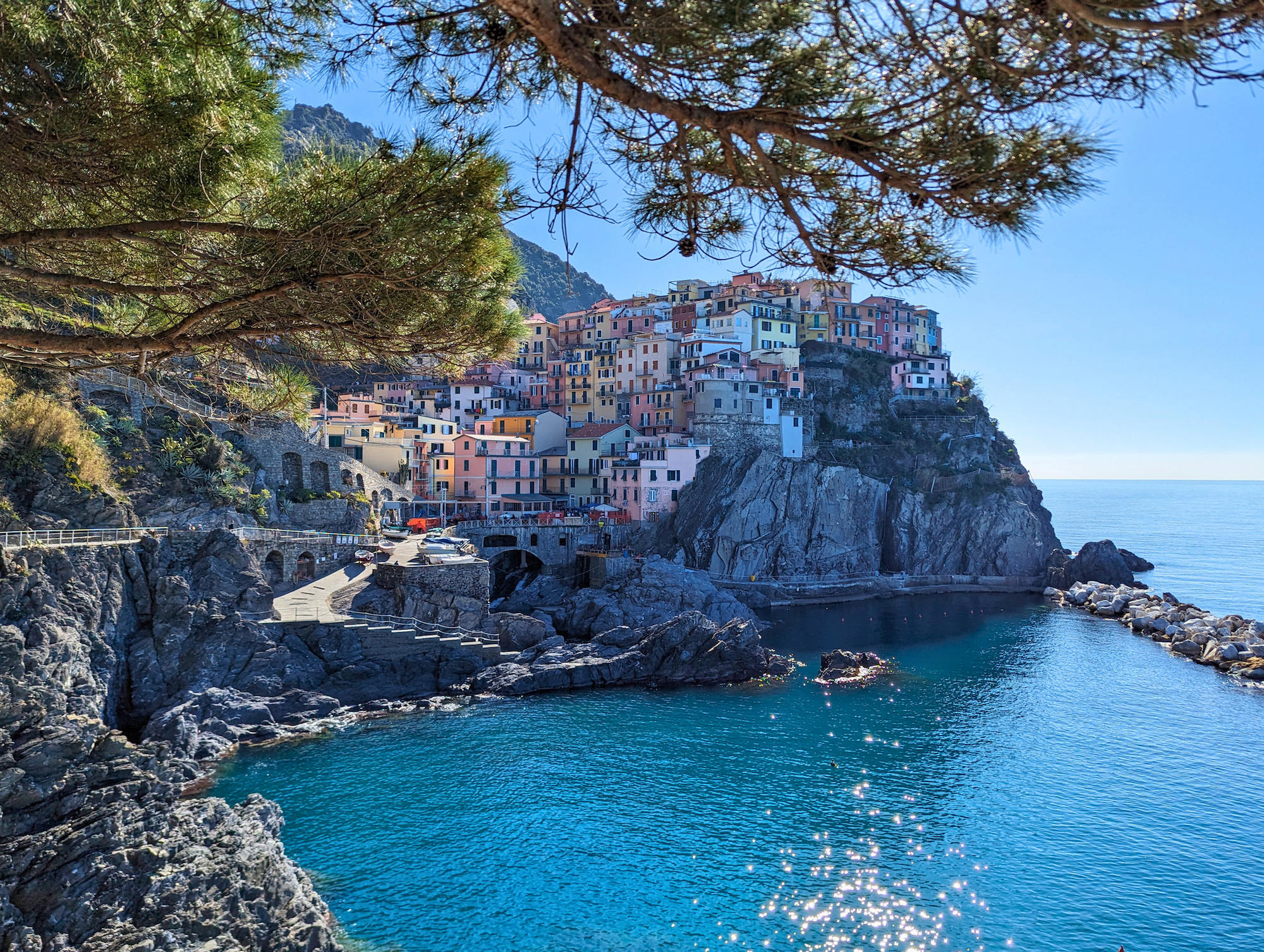 coastal view of Manarola