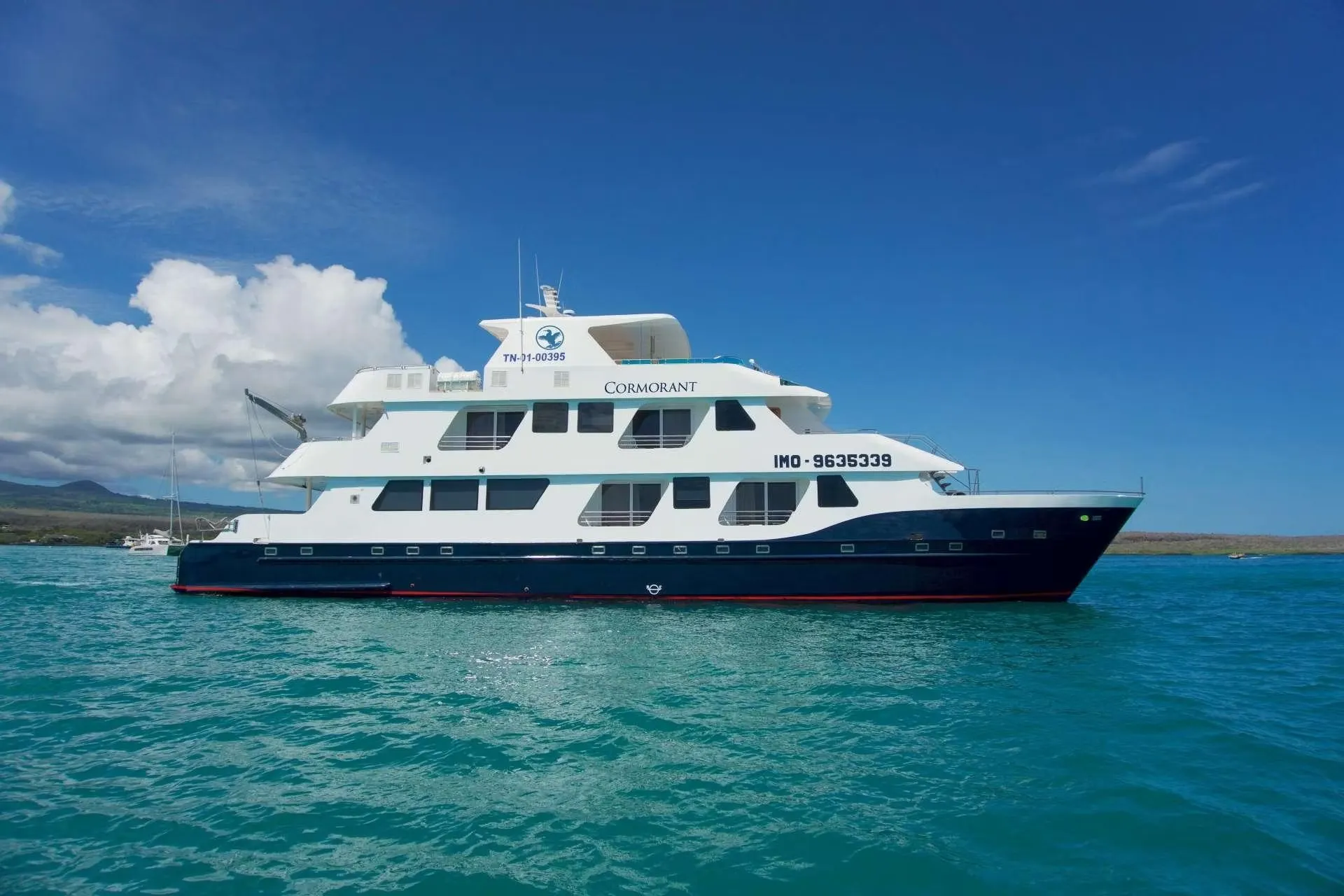 An image of Cormorant