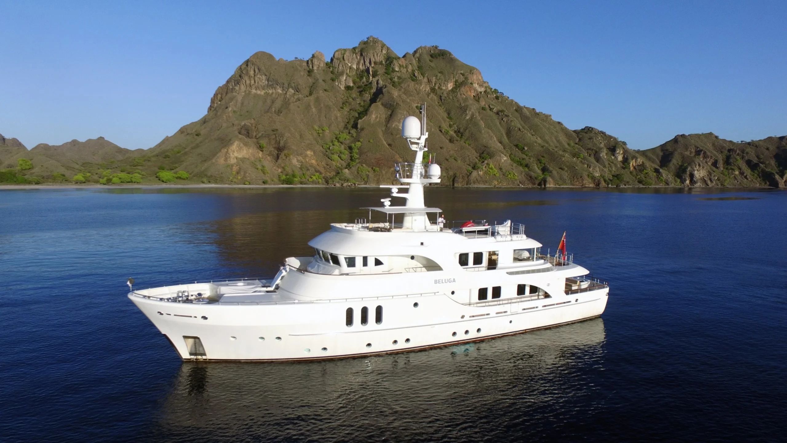 An image of Beluga