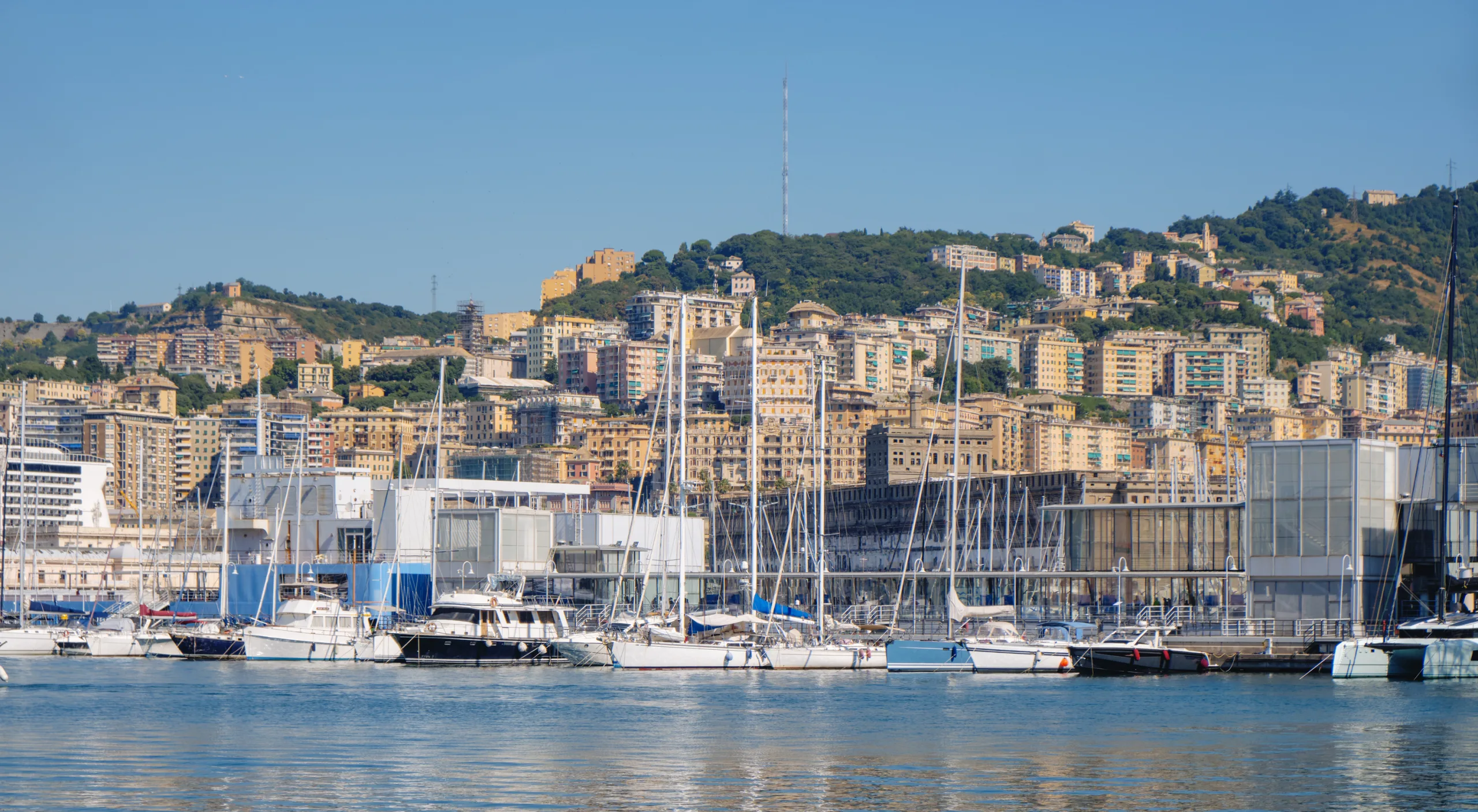 Rows of sailboats docked along the quay in Genoa, Italy