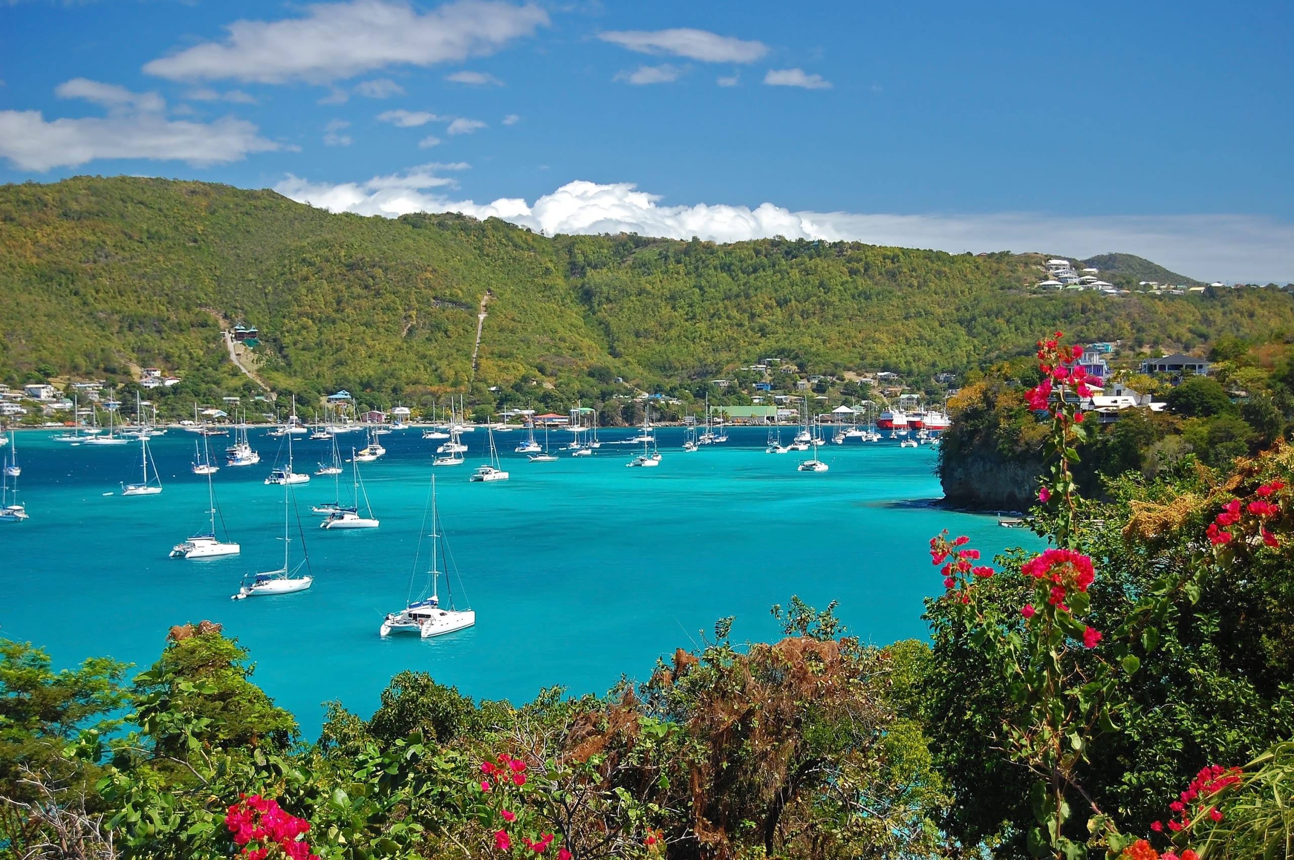 Beautiful landscape of Admiralty Bay in Bequia. Bright and colorful landscape of Admiralty Bay with cruise ship, sailboats and yachts in the harbour of Bequia.