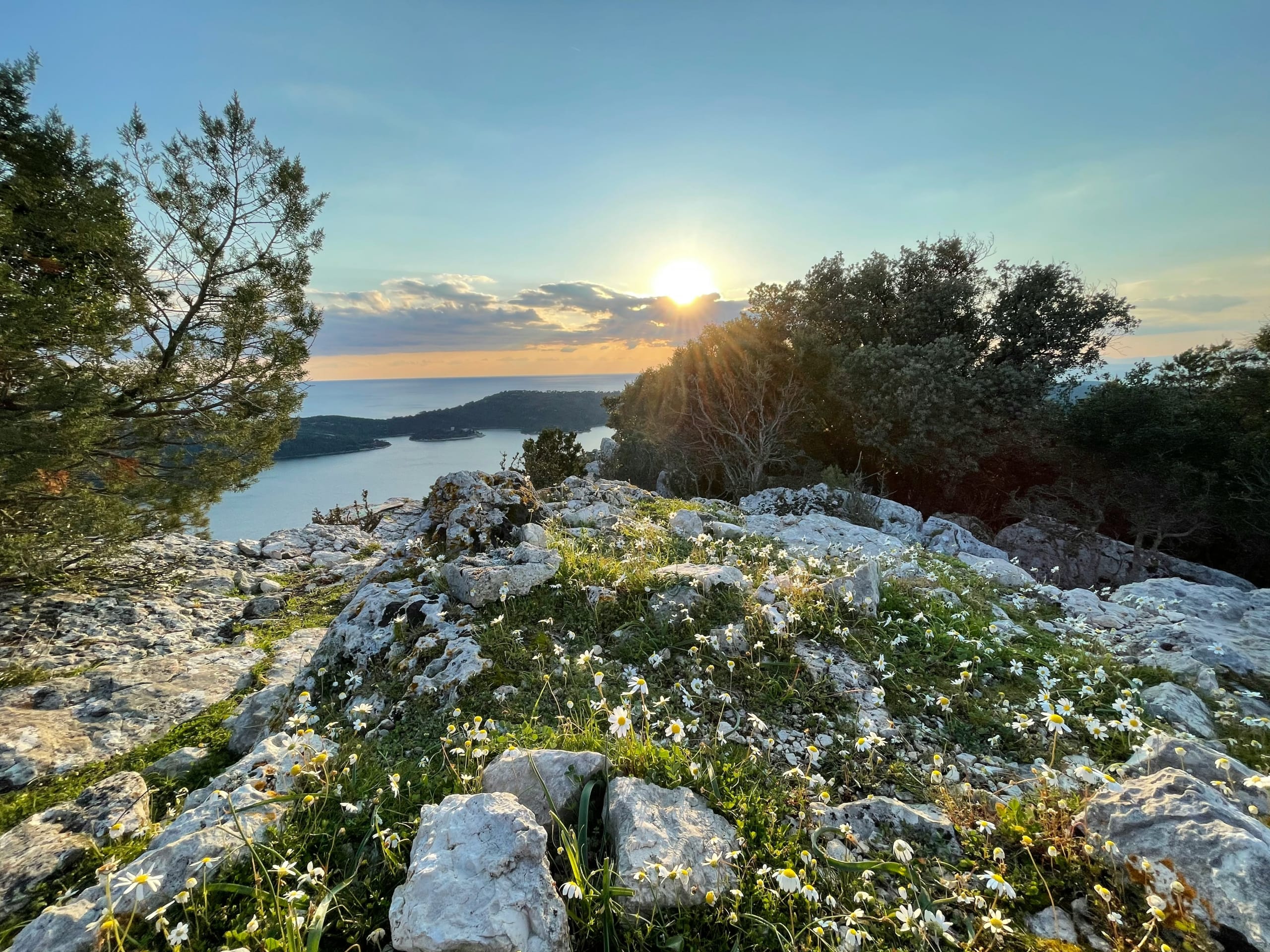 Mljet island - Veliki Gradac - early spring