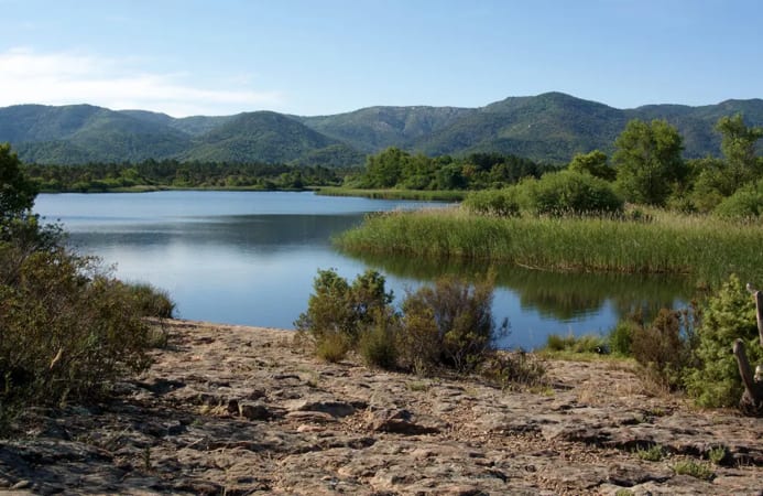 An image of La Plaine des Maures