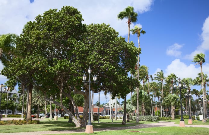 An image of Wilhelmina Park