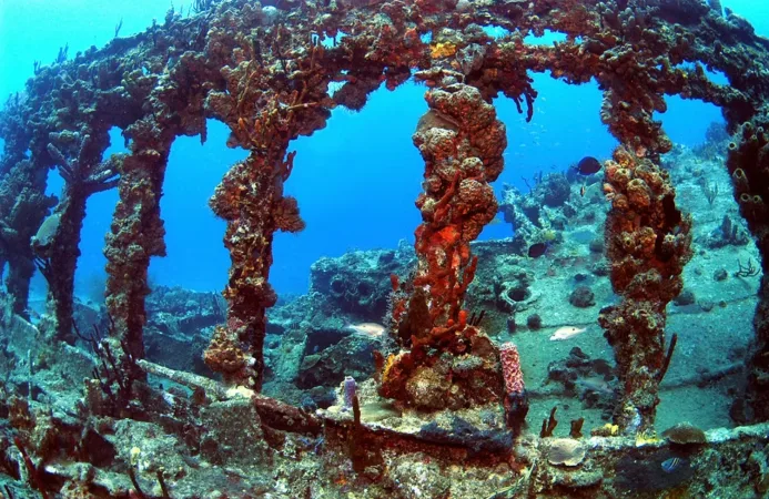 An image of Rhone National Marine Park