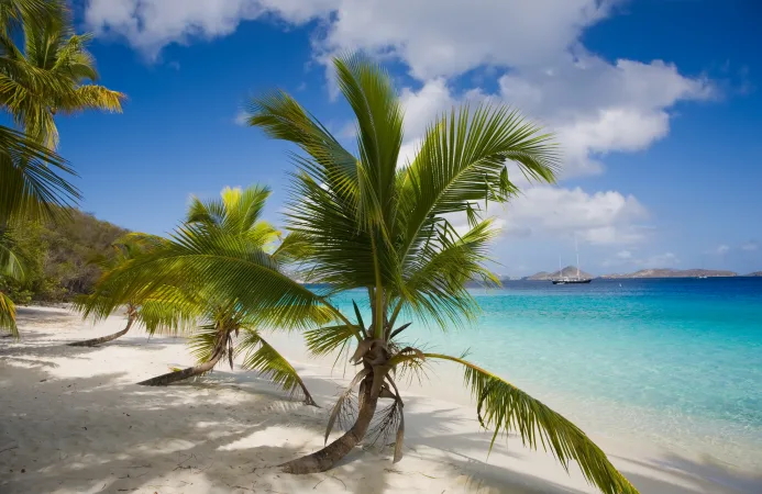 An image of Virgin Islands National Park