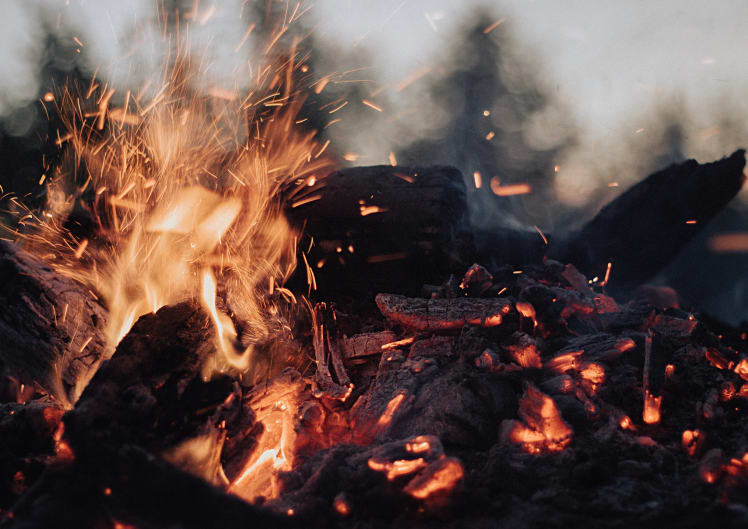 A close up of a small pile of wood on fire with crackling fire and glowing embers