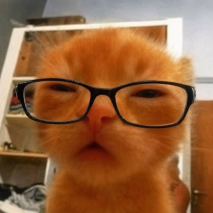 Big ahh glasses