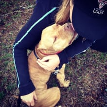 Volunteer Program Launch!