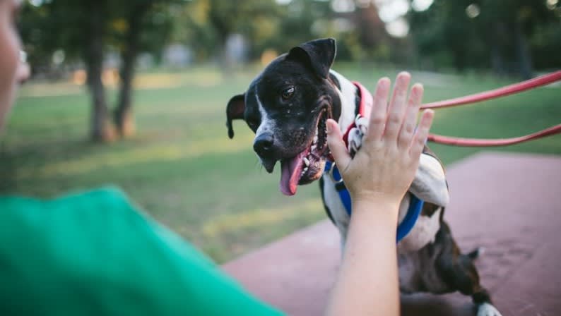 cuppens high five on table