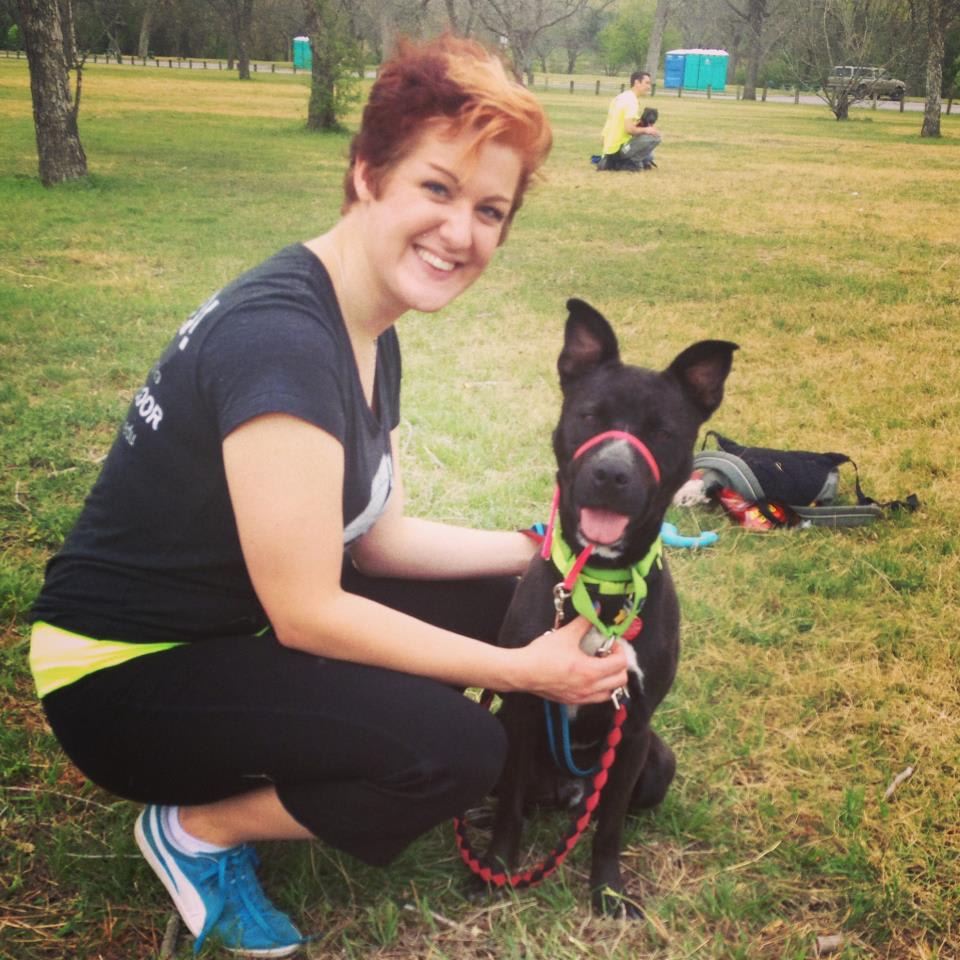 Rescued Puppy Left in Hot Car Is Enjoying New Forever Home